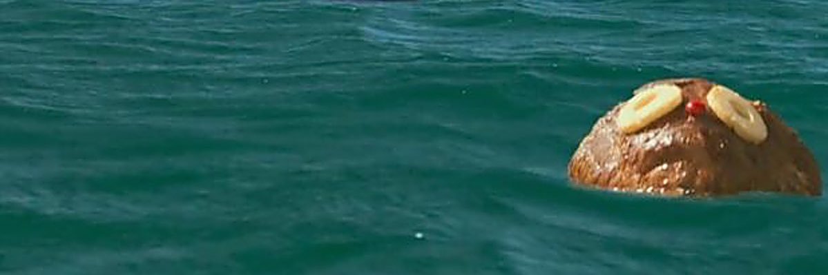 Franks_RumHam's profile banner image