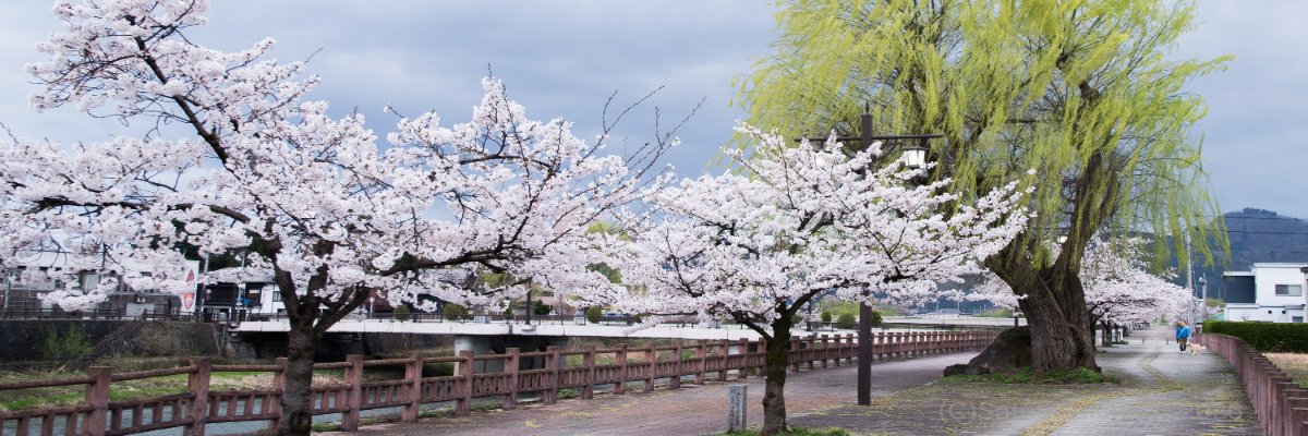 good_job_maker's profile banner image