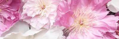 gabirowbottom's profile banner image
