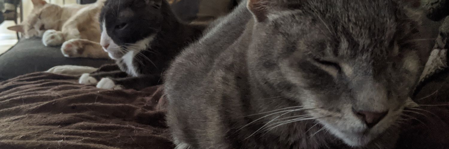 painfullyboring's profile banner image