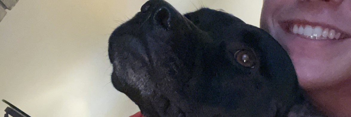 BrandonSteburg's profile banner image