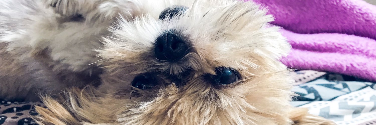 duzb's profile banner image