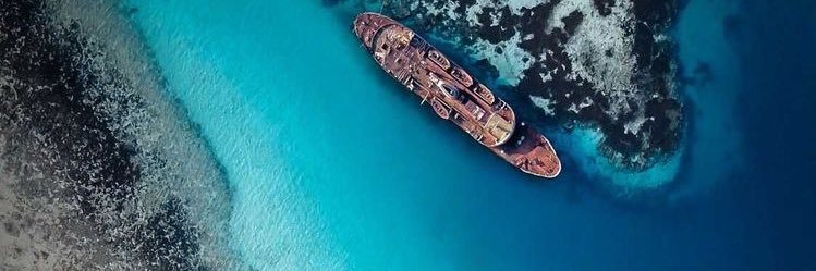 InTheDarkster banner