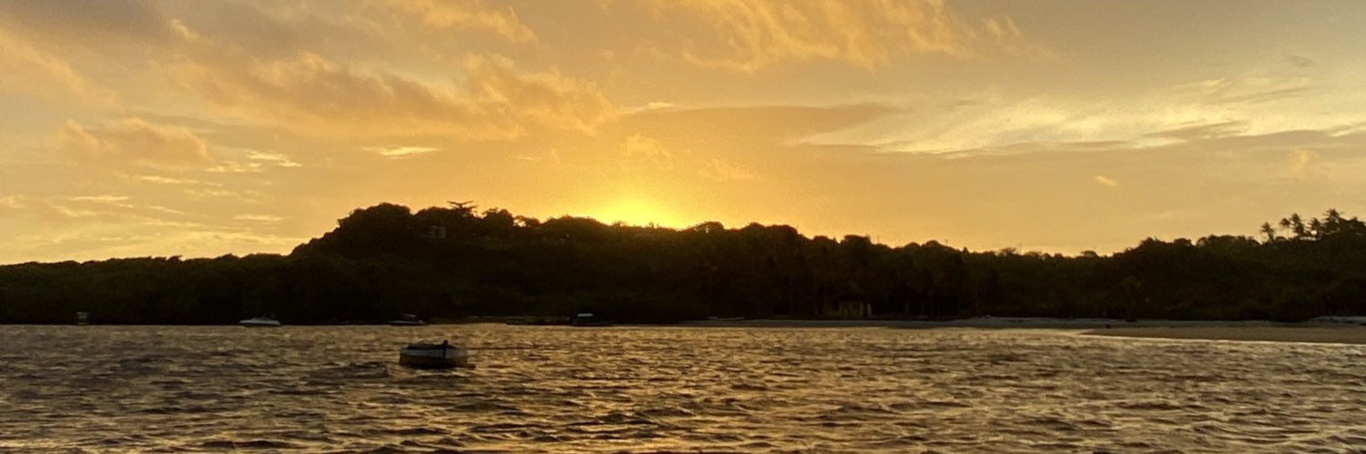 CarolStecca's profile banner image