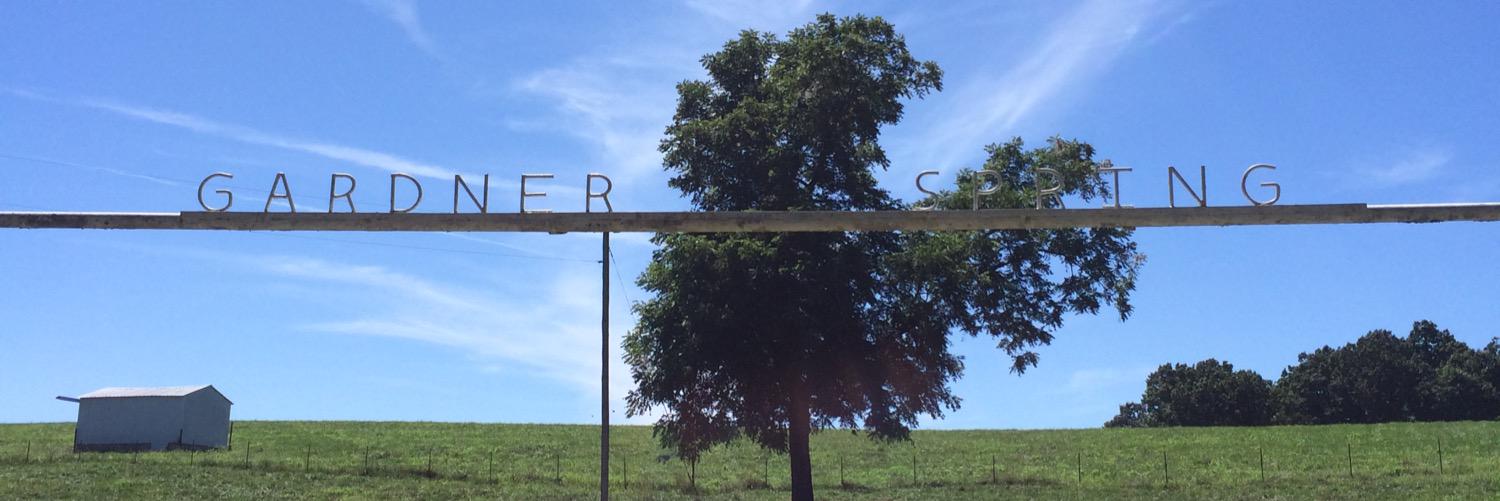 teefgardner's profile banner image