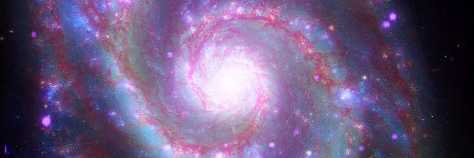 LuisaAccioly's profile banner image