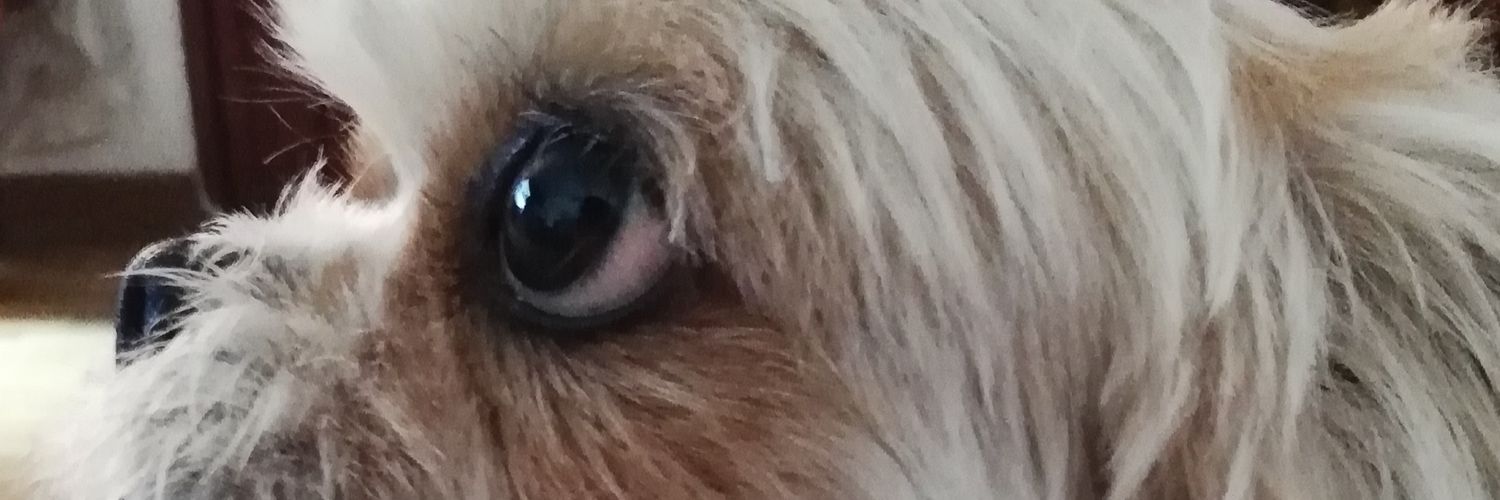 dcande10's profile banner image