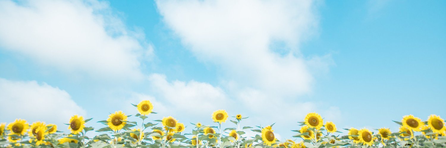 bellaautami's profile banner image