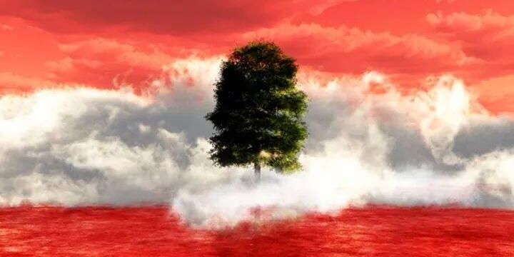 karimahamane's profile banner image