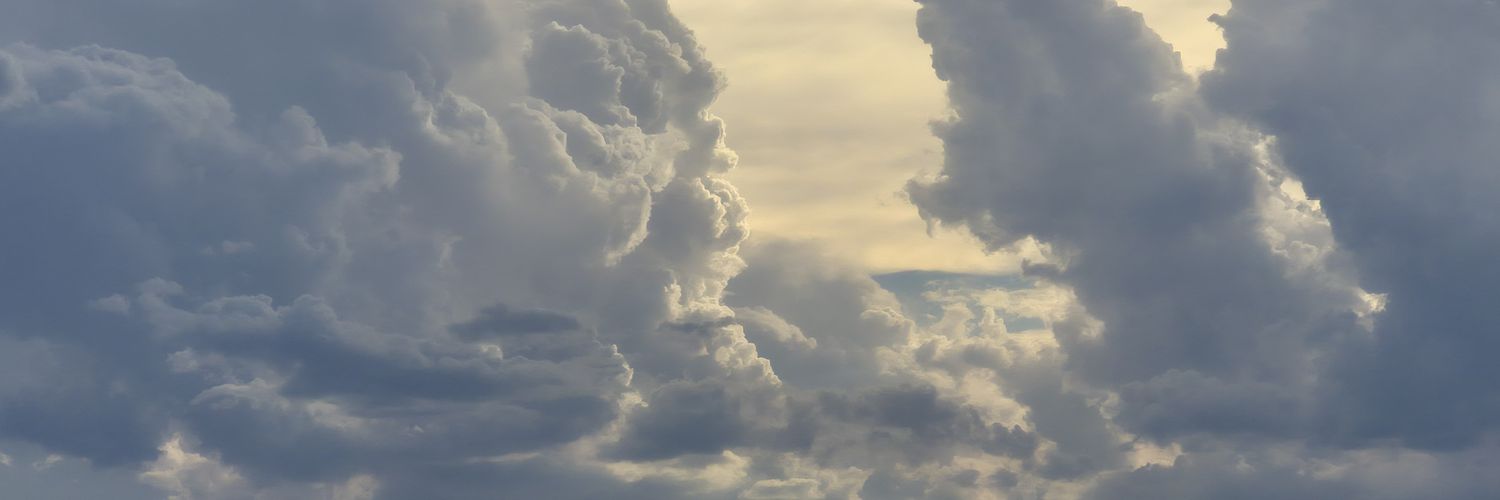 CaroCnC's profile banner image