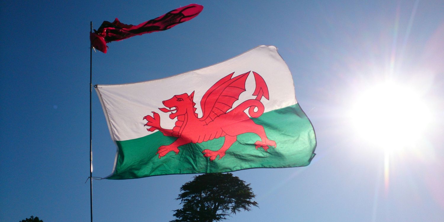 Ceri Jones 🏴󠁧󠁢󠁷󠁬󠁳󠁿 🌍 banner