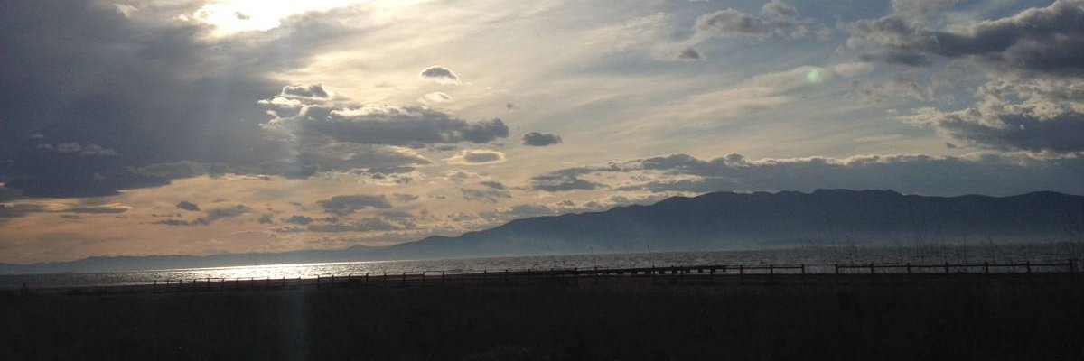 Minakoeli's profile banner image
