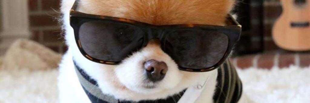 wfransm's profile banner image