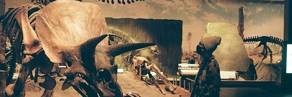 mspopel's profile banner image