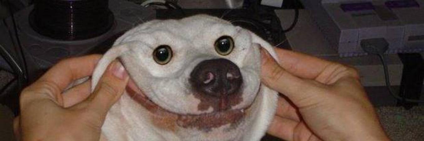 SaladasLP's profile banner image
