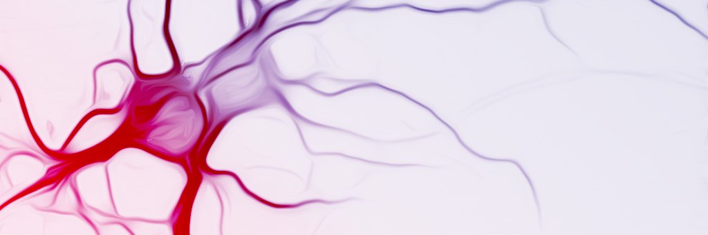 Queensland Brain Institute, UQ's banner