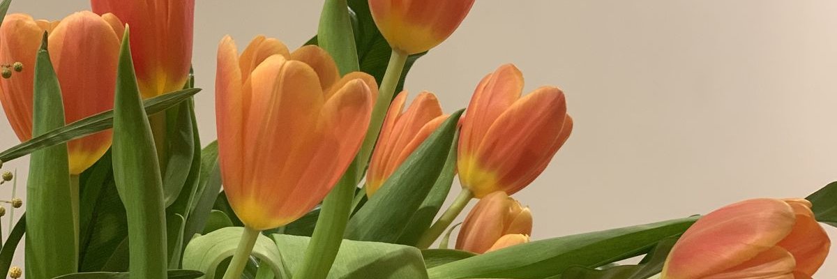 itsouthstar's profile banner image