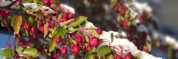 JenniferKotas Profile Banner