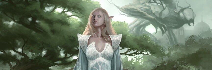 Mark Winters banner