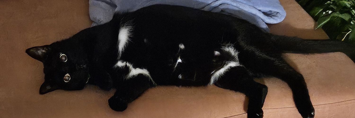 Daniel Tzaschel banner