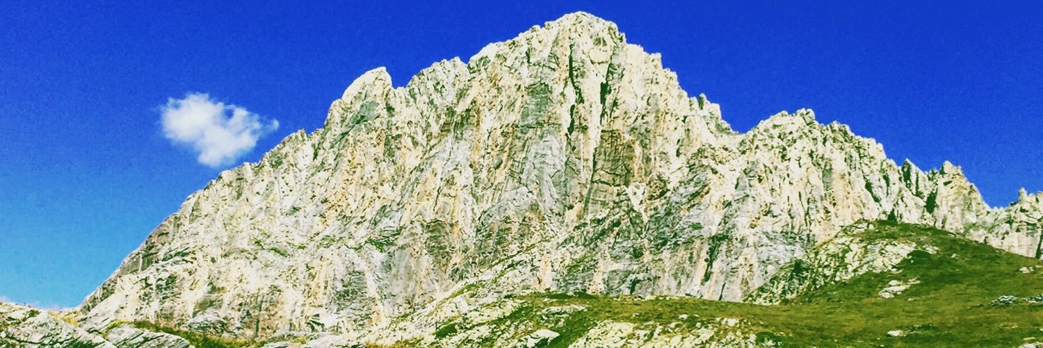 ScatGi's profile banner image