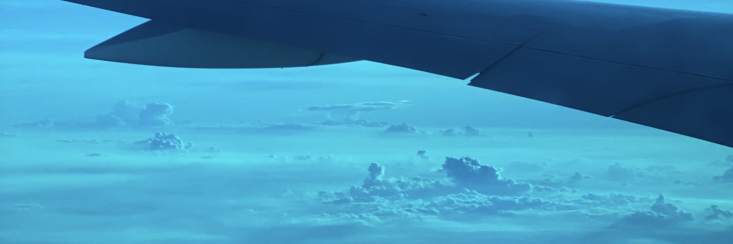 annamione's profile banner image