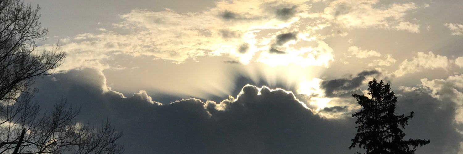 _janneal's profile banner image