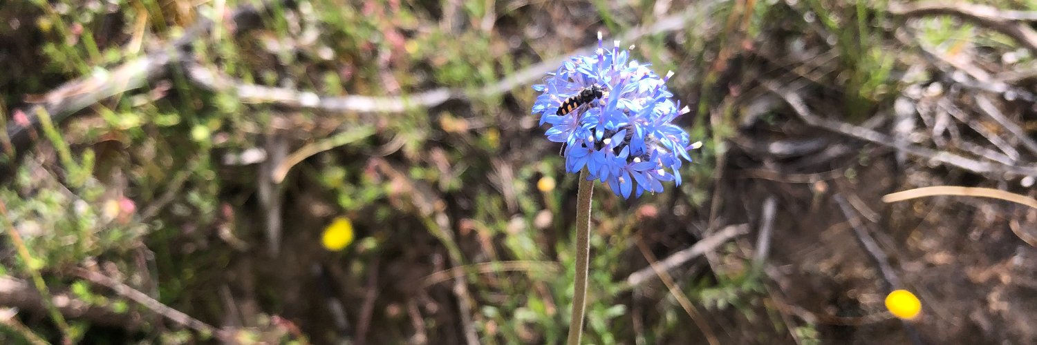 BiologyLab UoM banner