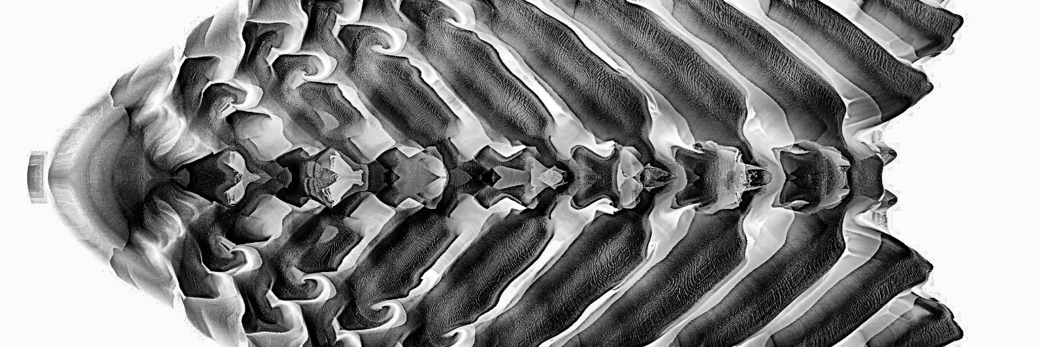 carpetfascinate's profile banner image
