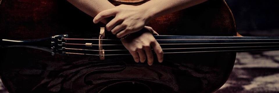 Alecellist's profile banner image