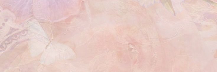 offleewild's profile banner image