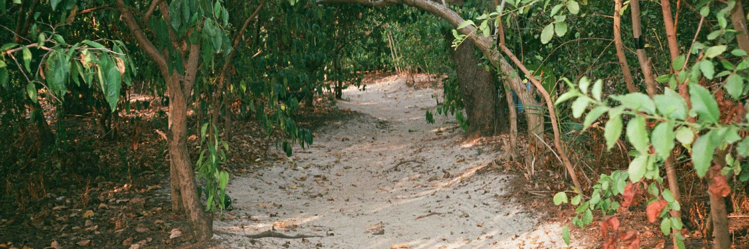 Sun Kill Moon banner