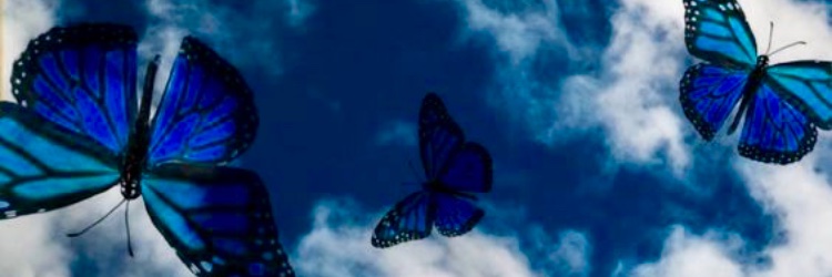 Mdogg_x3's profile banner image