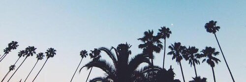 ماركيل banner