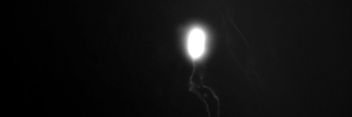 Jesse Ashton banner