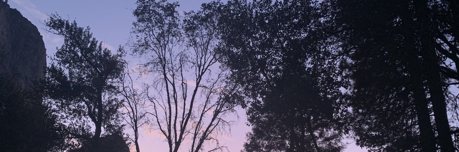 MattG_PsychMD's profile banner image
