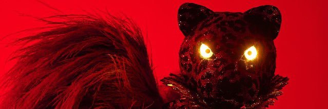 lucascxt3w's profile banner image