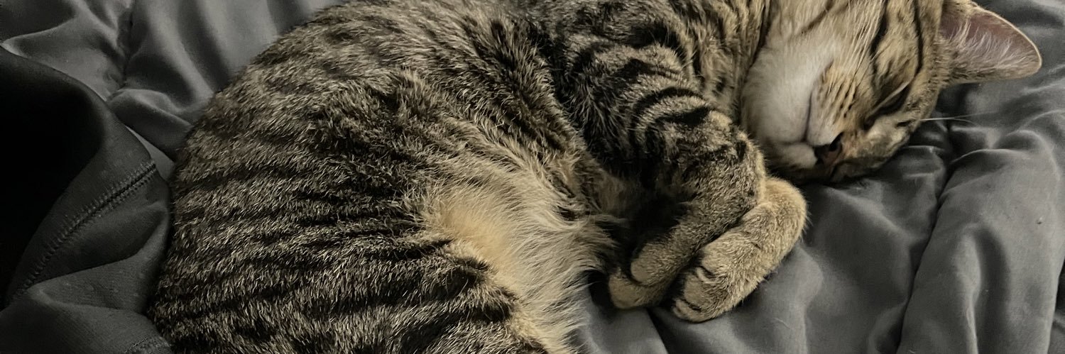 niacx_'s profile banner image