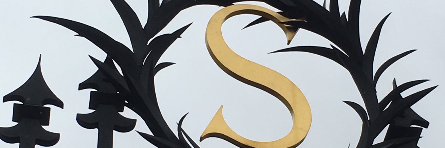 VMSirkia's profile banner image