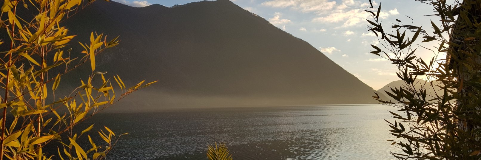 mitchevans12's profile banner image