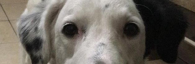 _Maricarla's profile banner image