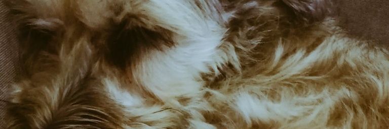 Cely_vm's profile banner image