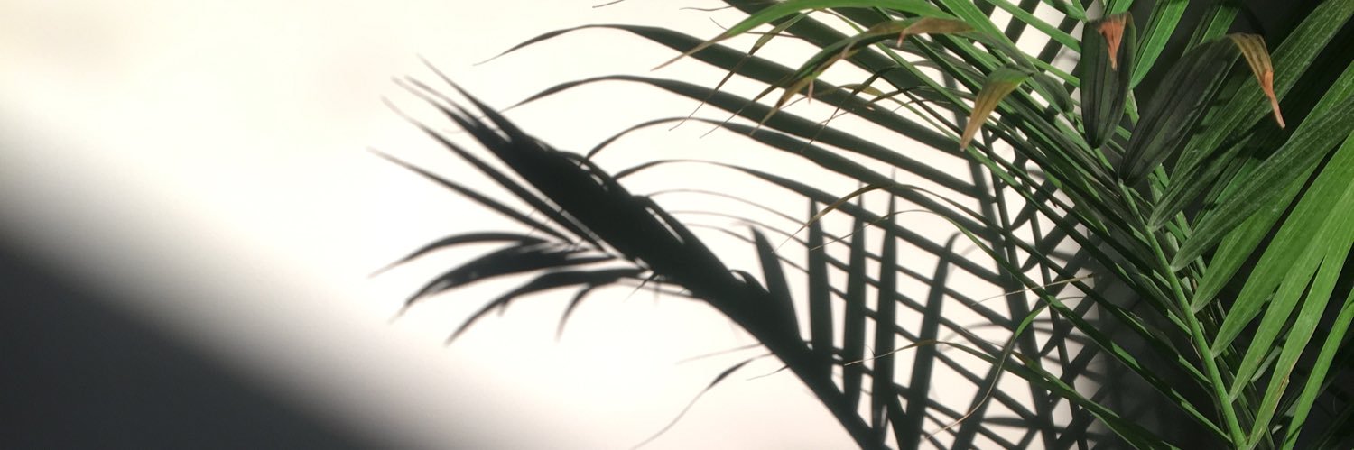 Hillmonious's profile banner image
