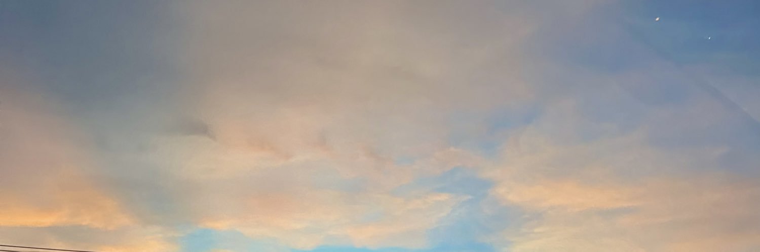 poonika81's profile banner image