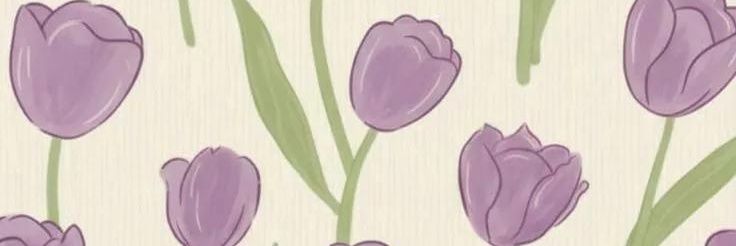 alemass_'s profile banner image