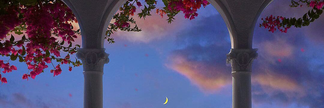 wickedladyhaley's profile banner image