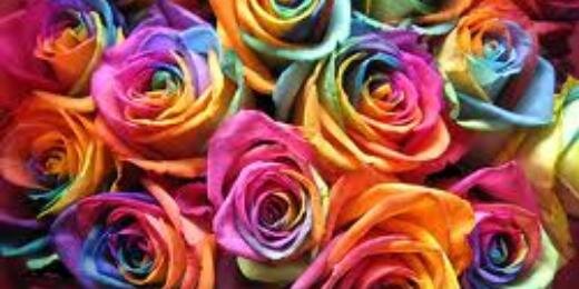 daraprs's profile banner image