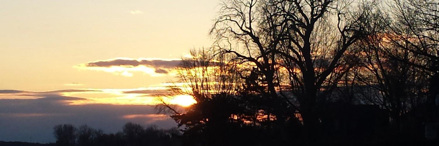 zachR38's profile banner image