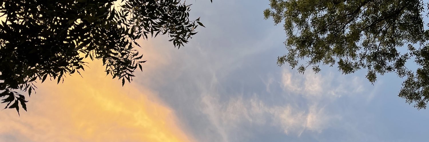 itser1ca's profile banner image