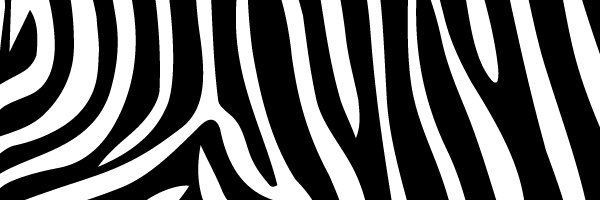Sweetness7905's profile banner image